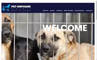 Petorphansmiami.com Screenshot 2024-07-01 11:30:23