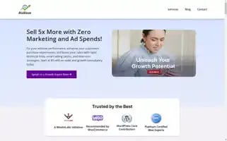 Bizblaze.co Screenshot 2024-07-03 09:37:58