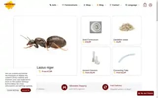 Hangyapolisz.com Screenshot 2024-06-28 05:26:43