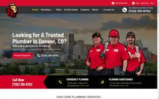 Kingrooterandplumbing.com Screenshot 2024-05-12 14:56:56