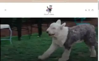 Twainandabel.com Screenshot 2024-04-22 12:30:23