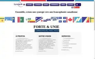 Synergiefr.ca Screenshot 2024-07-01 23:05:15