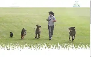 Hundeschule-wir-gemeinsam.at Screenshot 2024-07-09 12:18:59