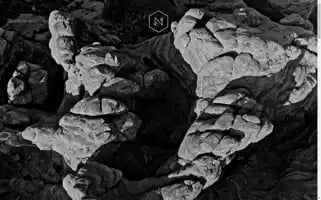 Bazar-noir.com Screenshot 2024-06-30 23:51:31