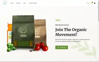 Sunchangroup.com Screenshot 2024-05-20 21:35:19