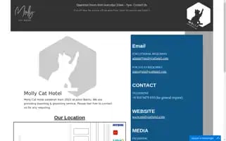 Mollycathotel.com Screenshot 2024-04-17 06:36:12
