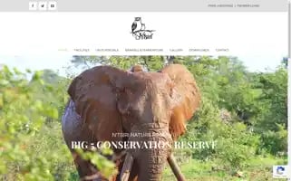 Ntsiri.co.za Screenshot 2024-07-01 21:09:48