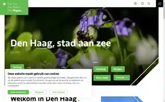 Denhaag.com Screenshot 2024-07-02 23:25:39