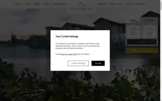 Ballinamanorhotel.ie Screenshot 2024-04-25 17:29:02