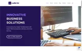 Redbitltd.com Screenshot 2024-06-29 19:28:11