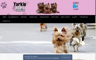 Yorkiehotel.co.za Screenshot 2024-04-14 18:48:04