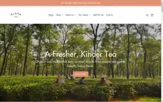 Alayatea.co Screenshot 2024-05-04 14:36:51