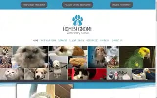 Homeygnomevet.com Screenshot 2024-07-06 03:18:22