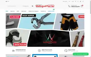 Wellngudfarrier.it Screenshot 2024-05-27 19:57:27