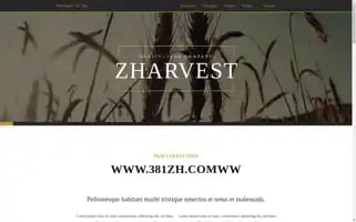 Zaraexo.top Screenshot 2024-07-07 14:49:53