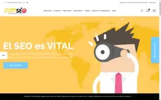 Viveseo.com Screenshot 2024-06-12 19:33:56