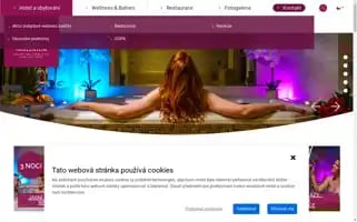 Spahotel-millenium.cz Screenshot 2024-04-15 03:13:49