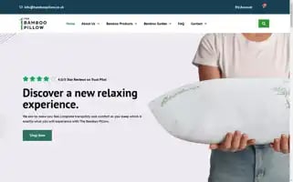 Thebamboopillow.co.uk Screenshot 2024-05-14 07:19:22