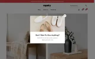 Capstry.co.uk Screenshot 2024-05-27 03:42:13