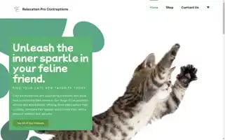 Relaxationprocontraptions.com Screenshot 2024-05-26 21:05:18