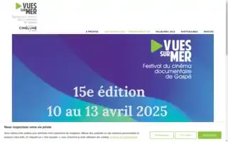 Vuessurmer.com Screenshot 2024-06-29 04:58:05