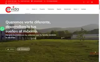 Ce-vida.org.mx Screenshot 2024-05-22 11:04:09