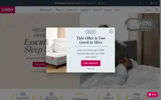 Endy.com Screenshot 2024-05-04 02:40:57
