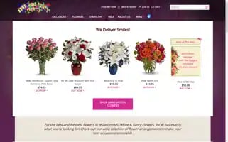 Fineandfancy.net Screenshot 2024-05-15 22:07:50