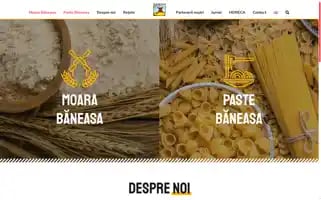 Pastebaneasa.ro Screenshot 2024-07-01 14:58:44