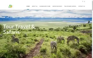 Nimfatourstanzania.com Screenshot 2024-04-17 09:59:48