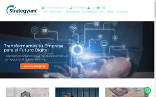 Strategyum.com Screenshot 2024-06-17 17:09:49