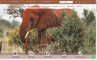 Marlsafaris.com Screenshot 2024-06-27 07:44:50