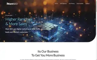 Wantseo.co.uk Screenshot 2024-06-30 18:13:16