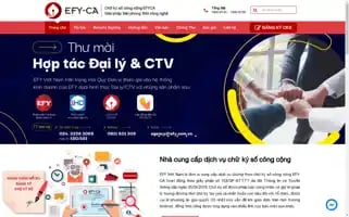 Efyca.vn Screenshot 2024-06-25 04:35:04