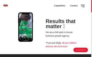 Gobigly.com Screenshot 2024-06-16 06:35:21