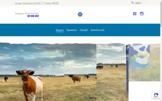 Ktfood.gr Screenshot 2024-06-28 01:47:33