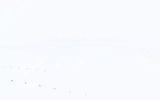 Gidaanalizleri.com Screenshot 2024-07-08 10:39:09