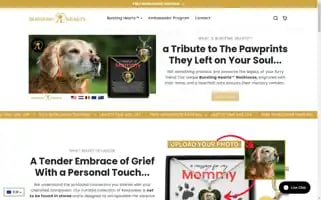 Burstinghearts.com Screenshot 2024-05-03 22:15:41