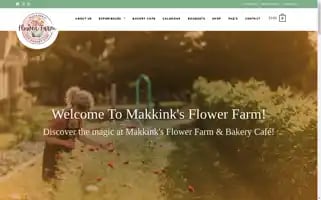 Makkinks.com Screenshot 2024-05-16 06:41:14