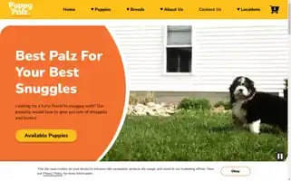 Puppy-palz.com Screenshot 2024-05-19 08:55:43