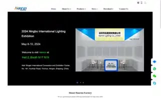 Ledstriplightings.com Screenshot 2024-04-26 13:48:10