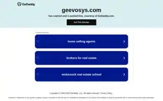 Geevosys.com Screenshot 2024-06-16 02:53:16