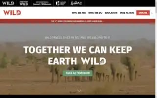 Wild.org Screenshot 2024-06-14 03:09:52