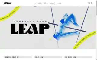 Madleap.co.kr Screenshot 2024-06-28 09:32:34