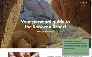 Sonoranexplorintours.com Screenshot 2024-04-23 23:39:37