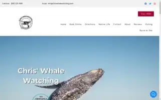 Chriswhalewatching.com Screenshot 2024-06-13 02:58:53