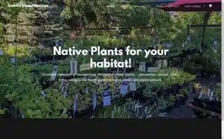 Sauvienatives.com Screenshot 2024-07-06 17:52:51