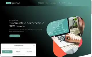 Seo-agentuur.ee Screenshot 2024-06-26 23:52:45