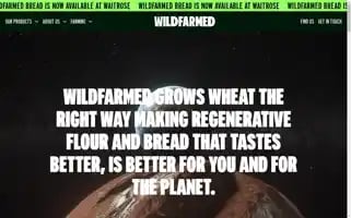 Wildfarmed.co.uk Screenshot 2024-06-30 18:13:12
