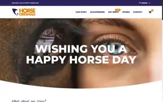 Horseoriginals.com Screenshot 2024-06-27 03:36:55